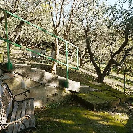 公寓 Loft With Private Garden Close To Shops Italy *