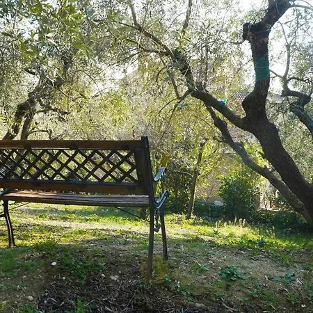 Loft With Private Garden Close To Shops Italy Appartement *