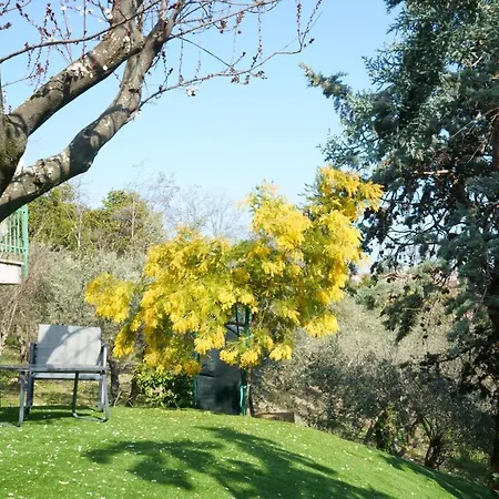 Appartement Loft With Private Garden Close To Shops Italy